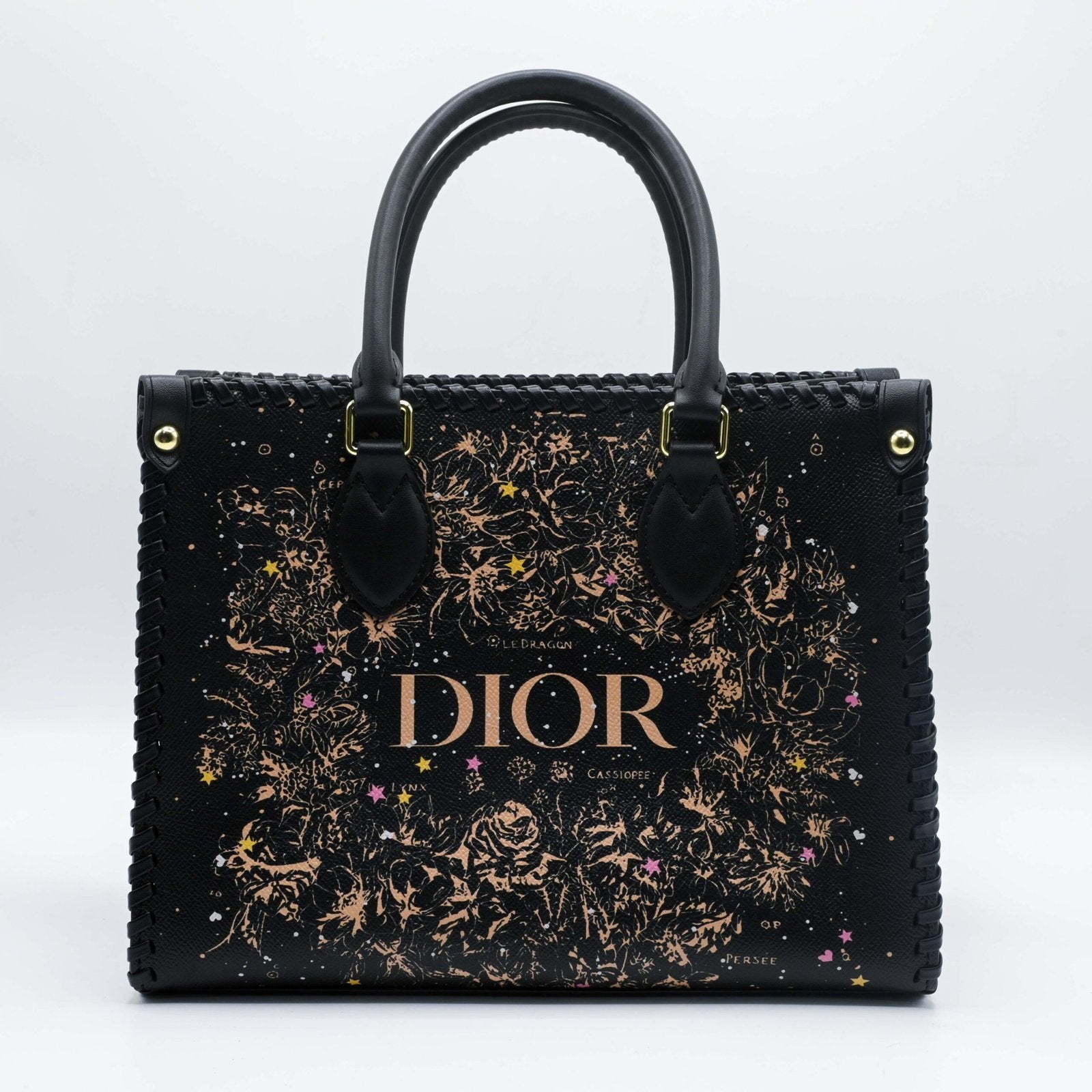 DIOR HAND BAG Black (2)