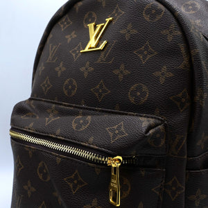 LOUIS VUITTON BAGPACK Brown (3)