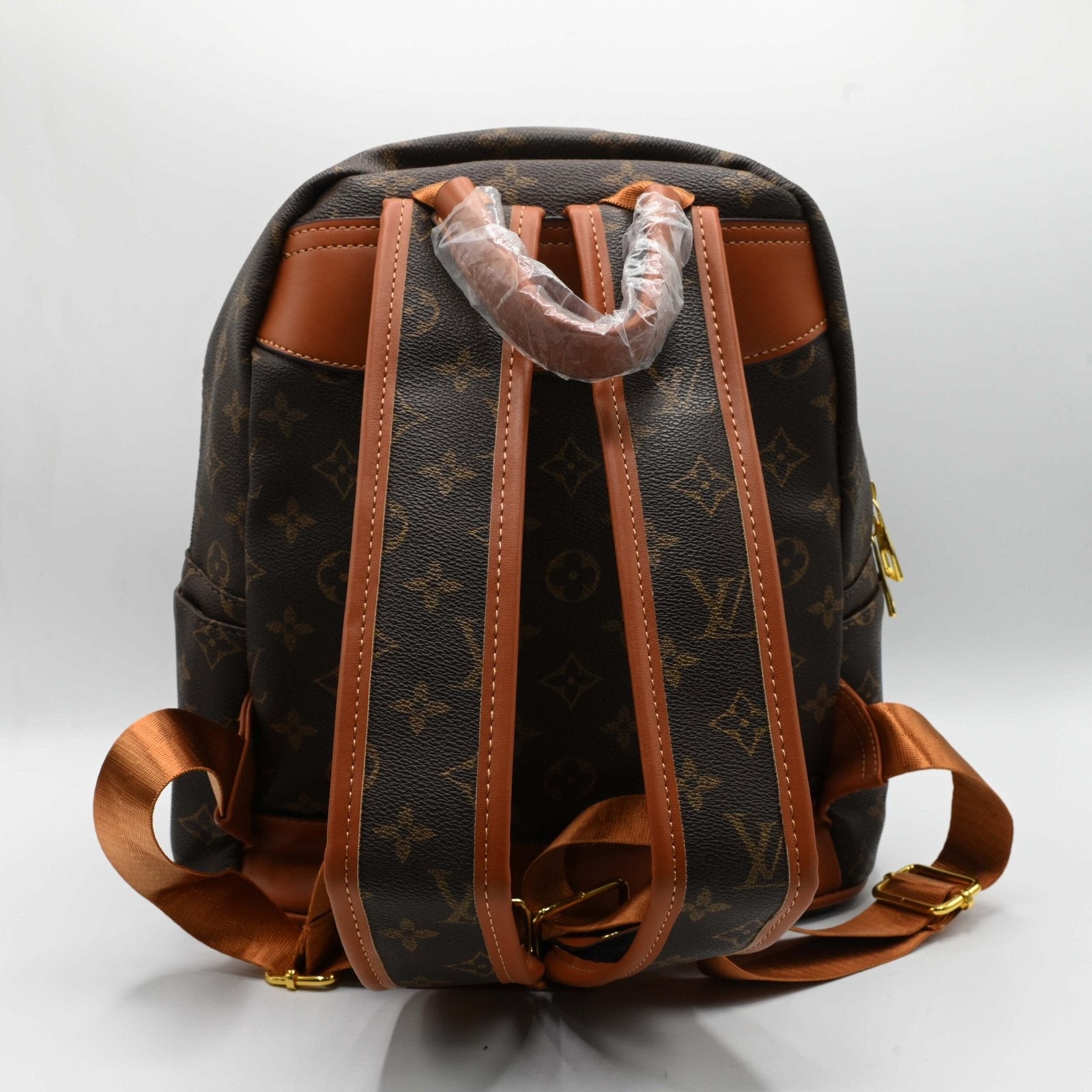 LOUIS VUITTON BAGPACK Brown (4)