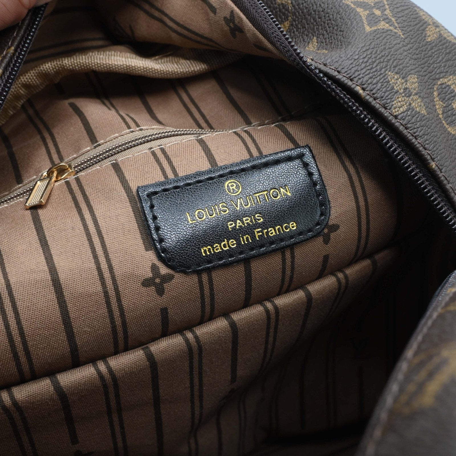 LOUIS VUITTON BAGPACK Brown (6)